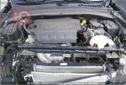 جيب رينيجيد